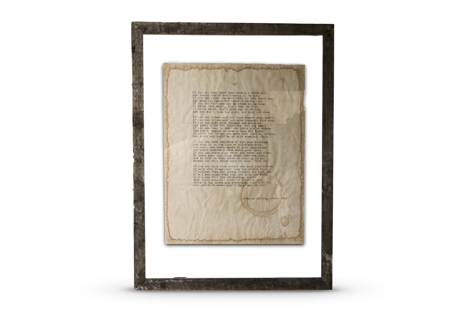 The Man in the Arena by Theodore "Teddy" Roosevelt