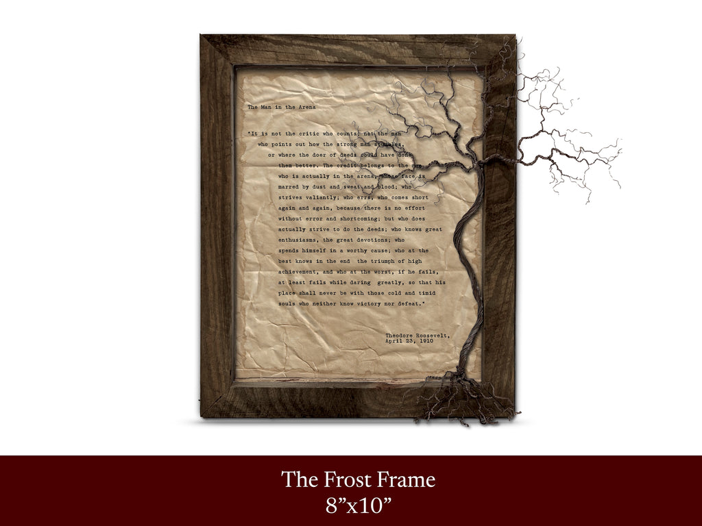 The Man in the Arena by Theodore "Teddy" Roosevelt