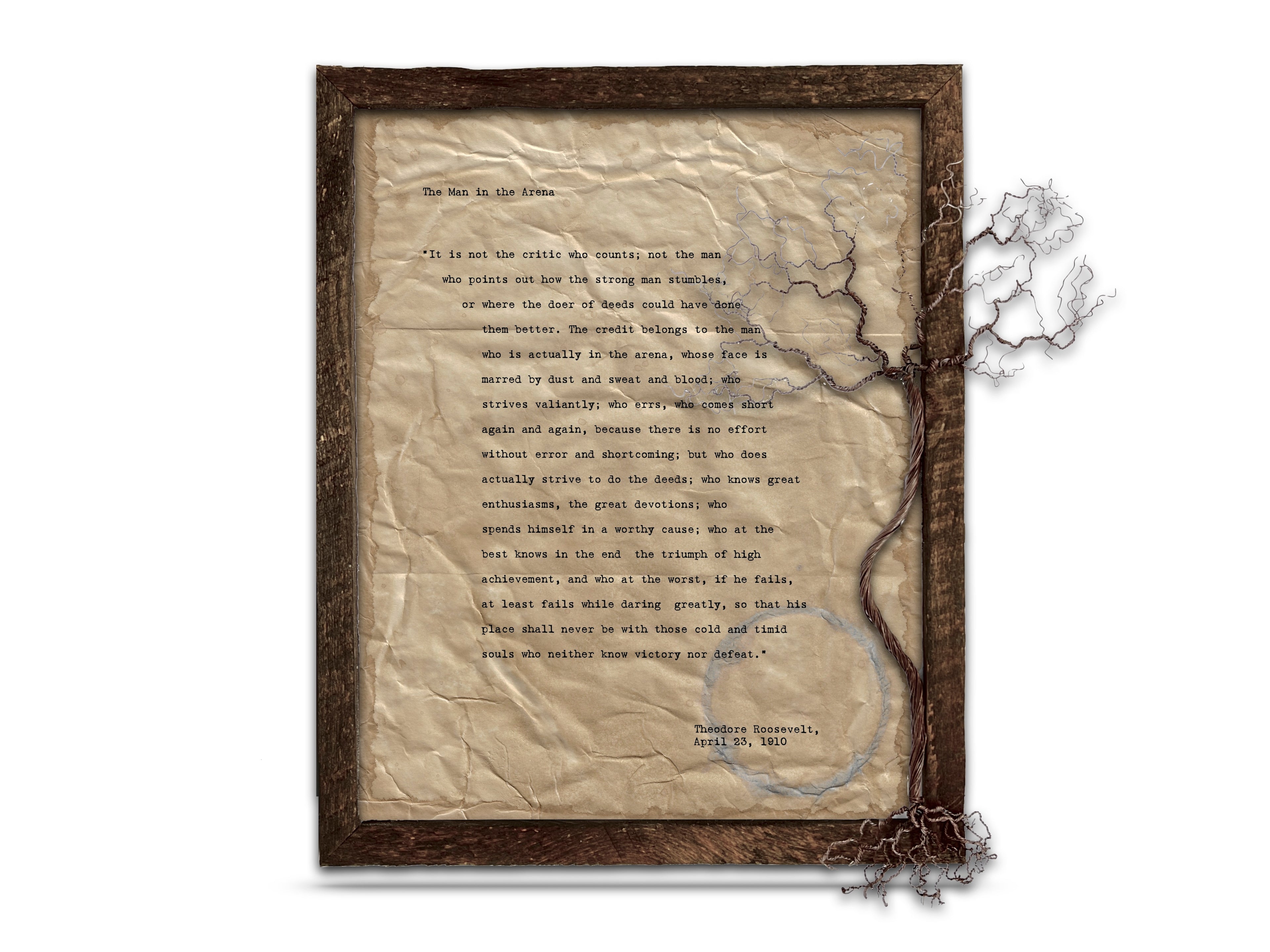 The Man in the Arena by Theodore "Teddy" Roosevelt