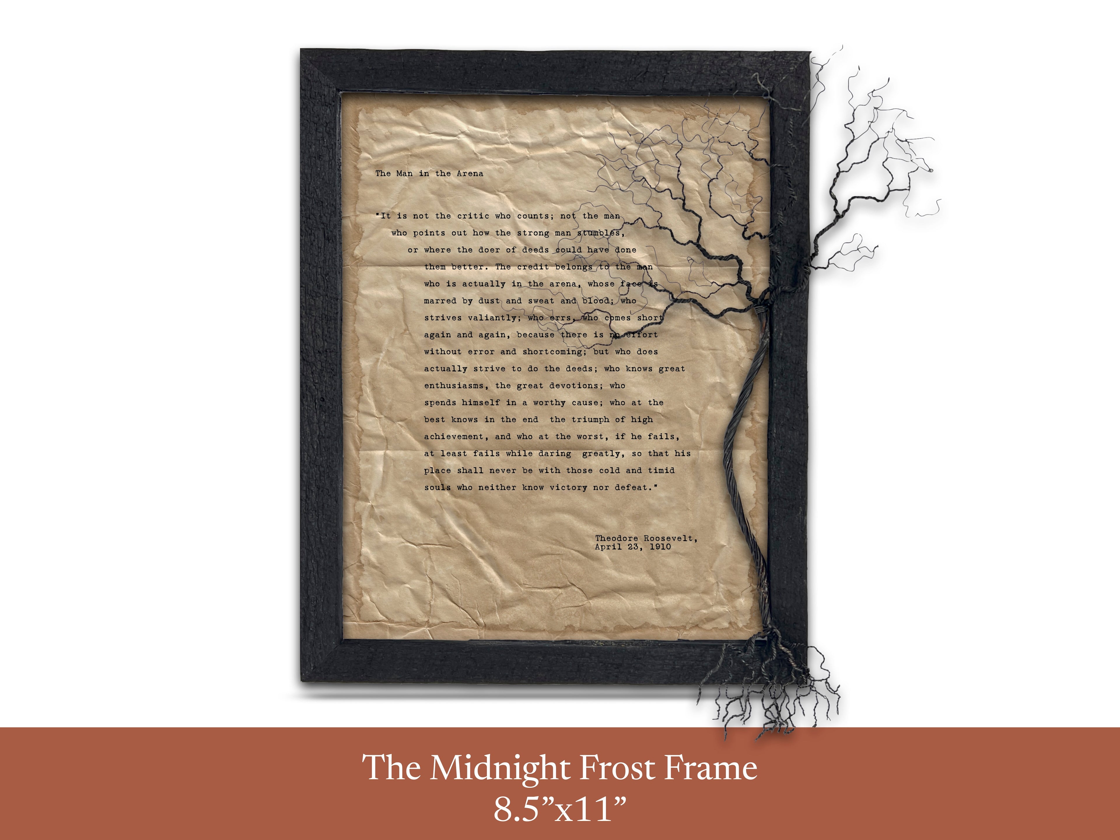 The Man in the Arena by Theodore "Teddy" Roosevelt