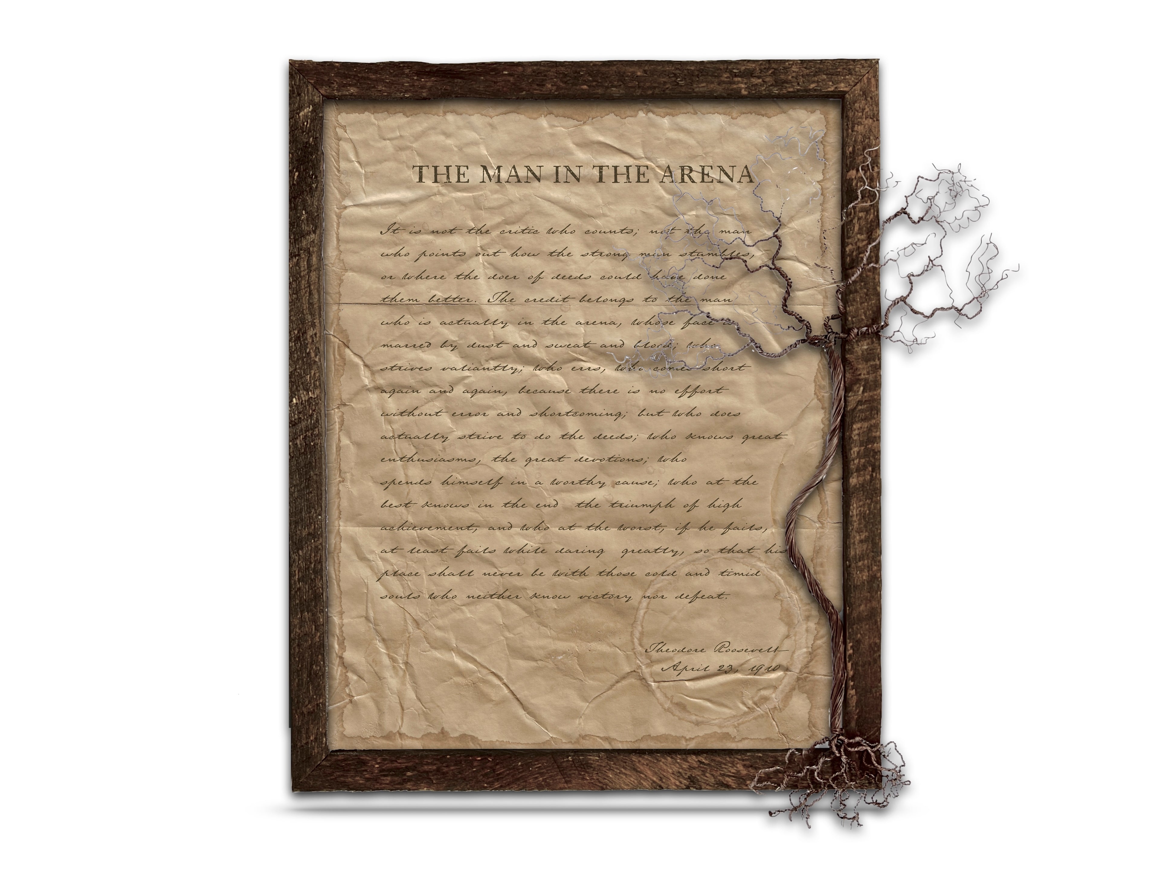 The Man in the Arena by Theodore "Teddy" Roosevelt - Handwritten Style