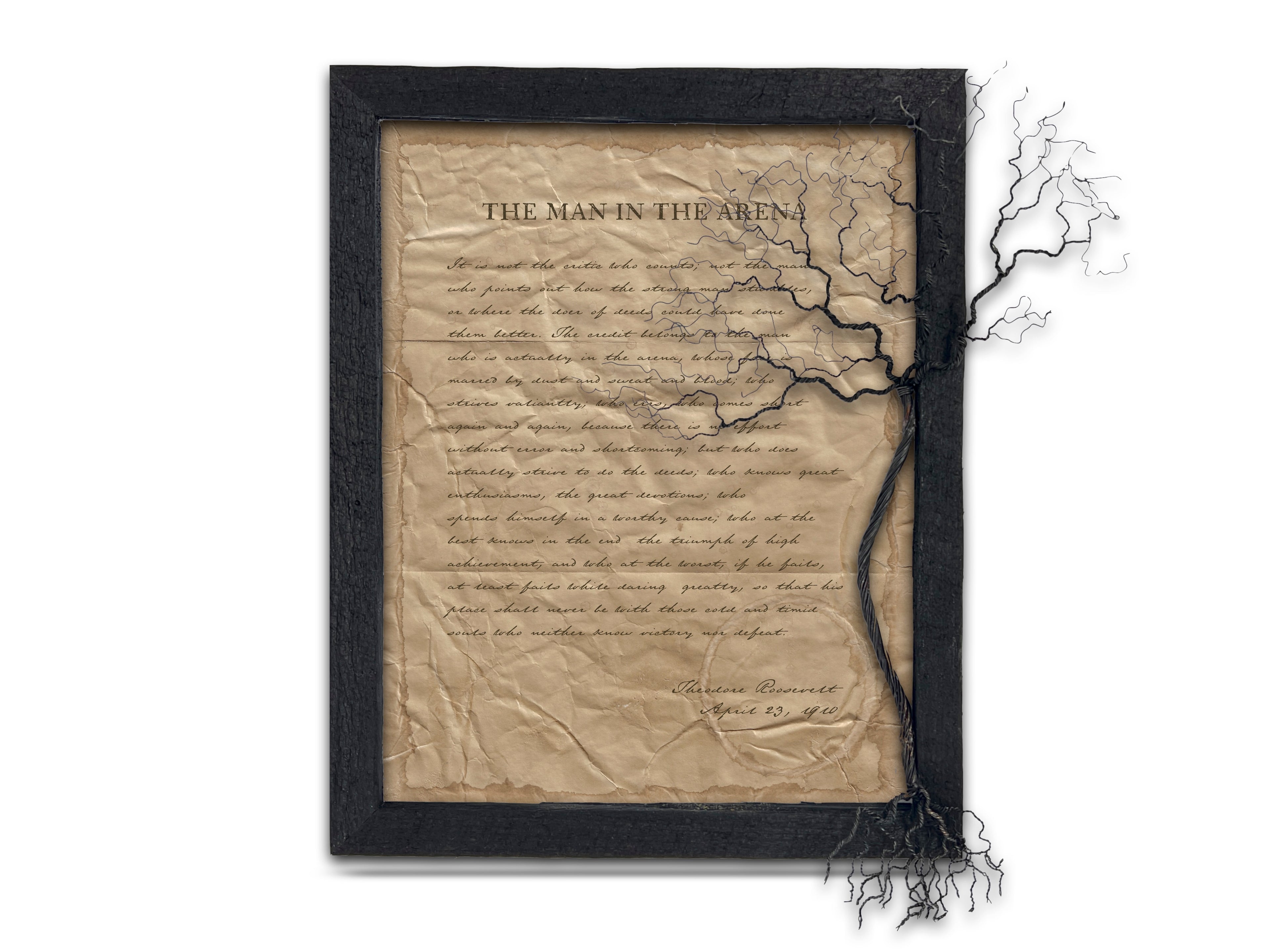 The Man in the Arena by Theodore "Teddy" Roosevelt - Handwritten Style